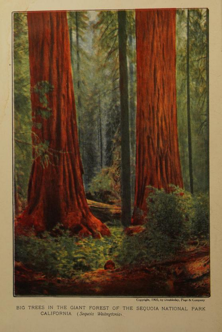 Ongoing List of Additional Books to Read Free