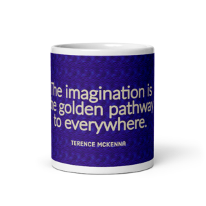 "The imagination is" Mug, Terence McKenna