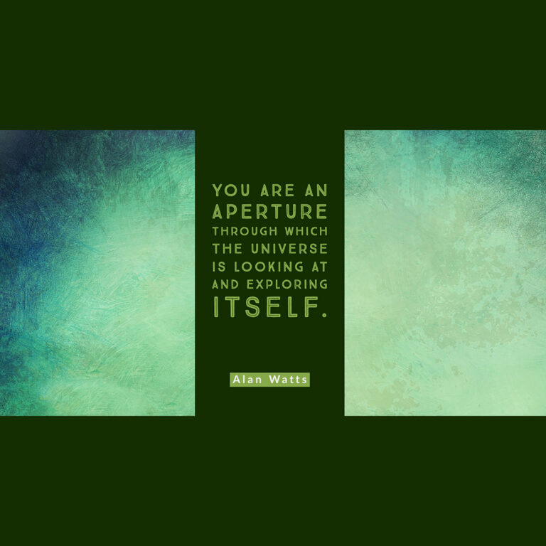 You Are an Aperture, Watts